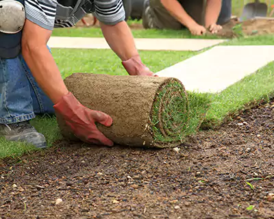 Artificial Turf, Carson City, NV Artificial Turf, Carson City, NV