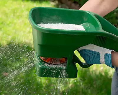 Fertilizing, Carson City, NV Fertilizing, Carson City, NV