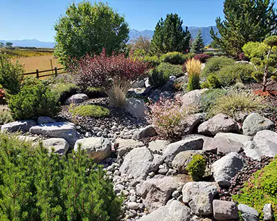 Landscape Installation, Carson City, NV