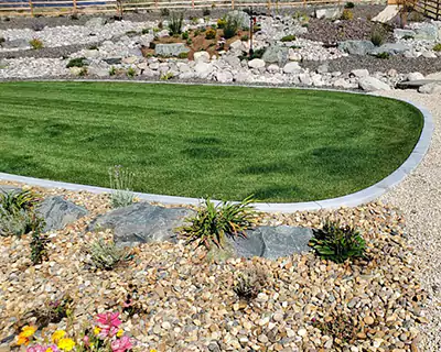 Lawn Care, Carson City, NV