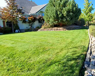 Lawn Installation, Carson City, NV