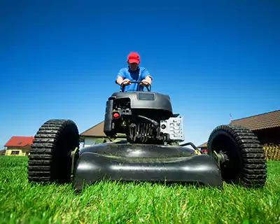 Lawn Mowing, Carson City, NV