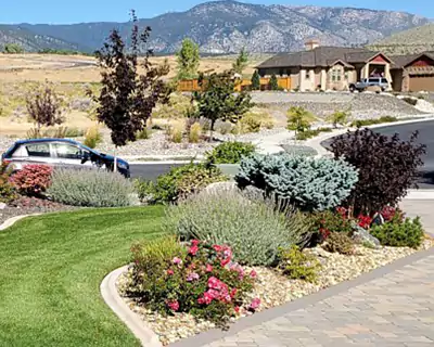 Plant Installation, Carson City, NV Plant Installation, Carson City, NV