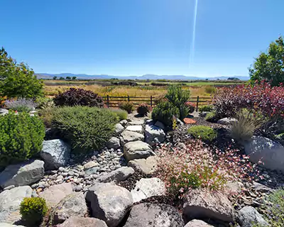 Rock & Xeriscapes, Carson City, NV